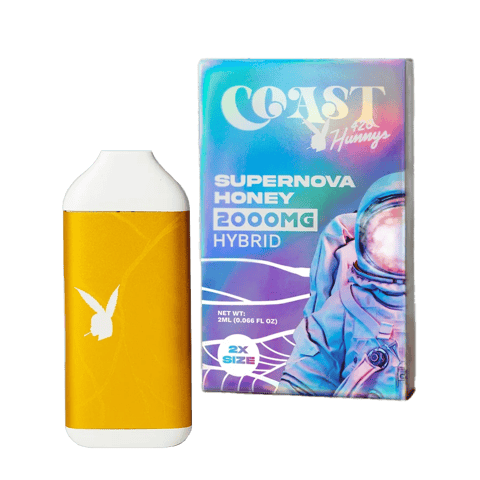 Coast Smokes 2ml Rechargeable Disposable Delta-8 Vape - Supernova Honey